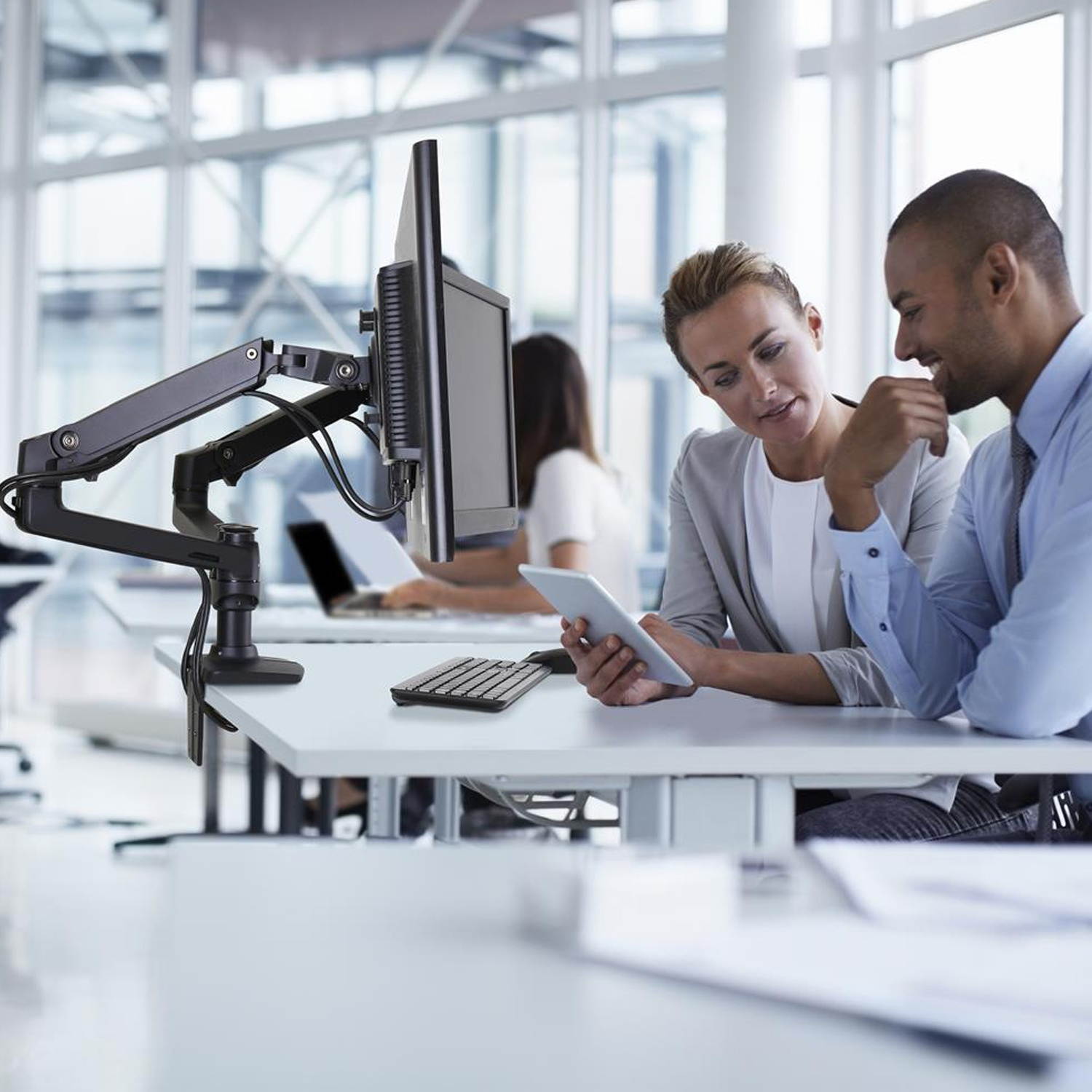 Ergotron Mounting Arm for Monitor Matte Black 45245224