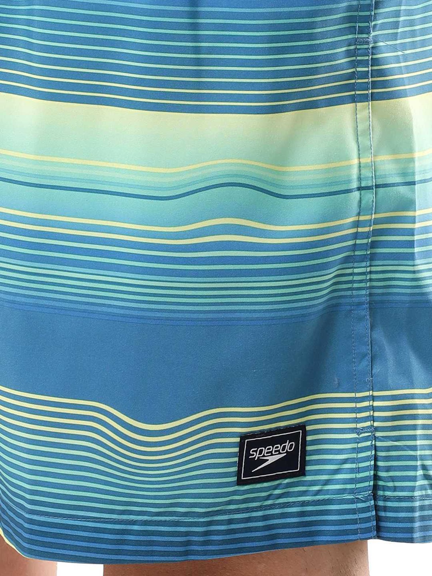 Speedo Watermelon Regular Fit Printed Swim Shorts