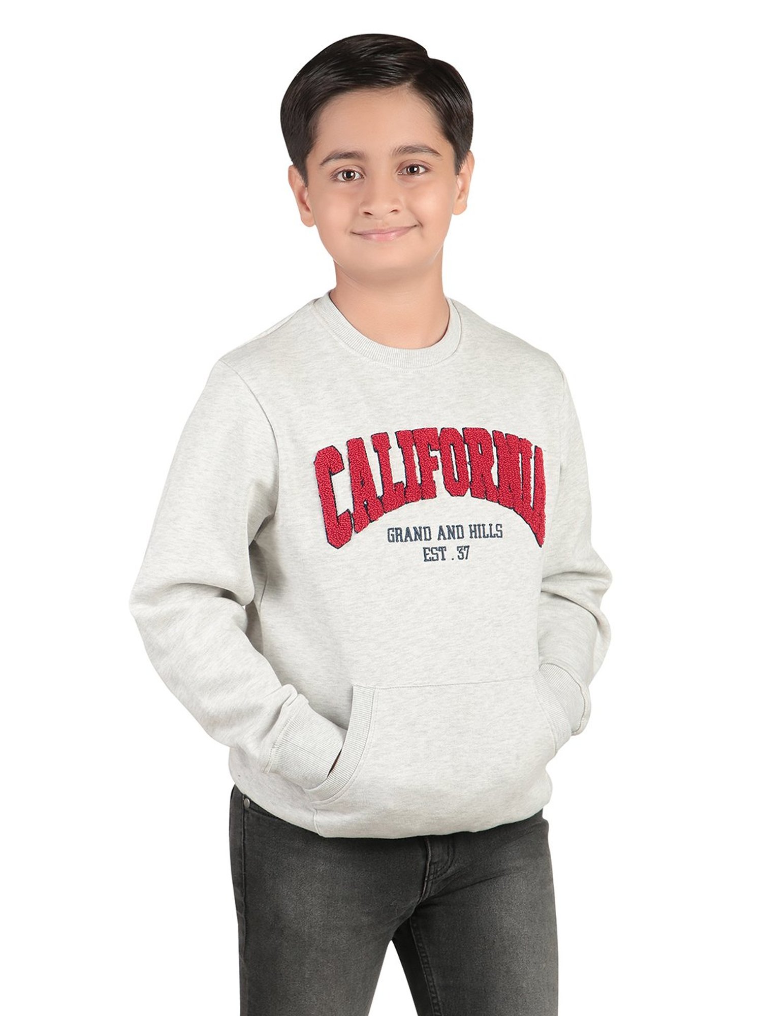 Bodycare Kids Grey Embroidered Full Sleeves Sweatshirt