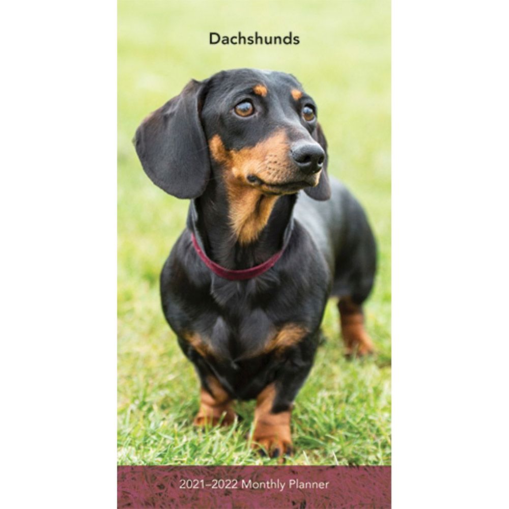 BrownTrout, 2021 Dachshunds 2 Yr Pocket Planner