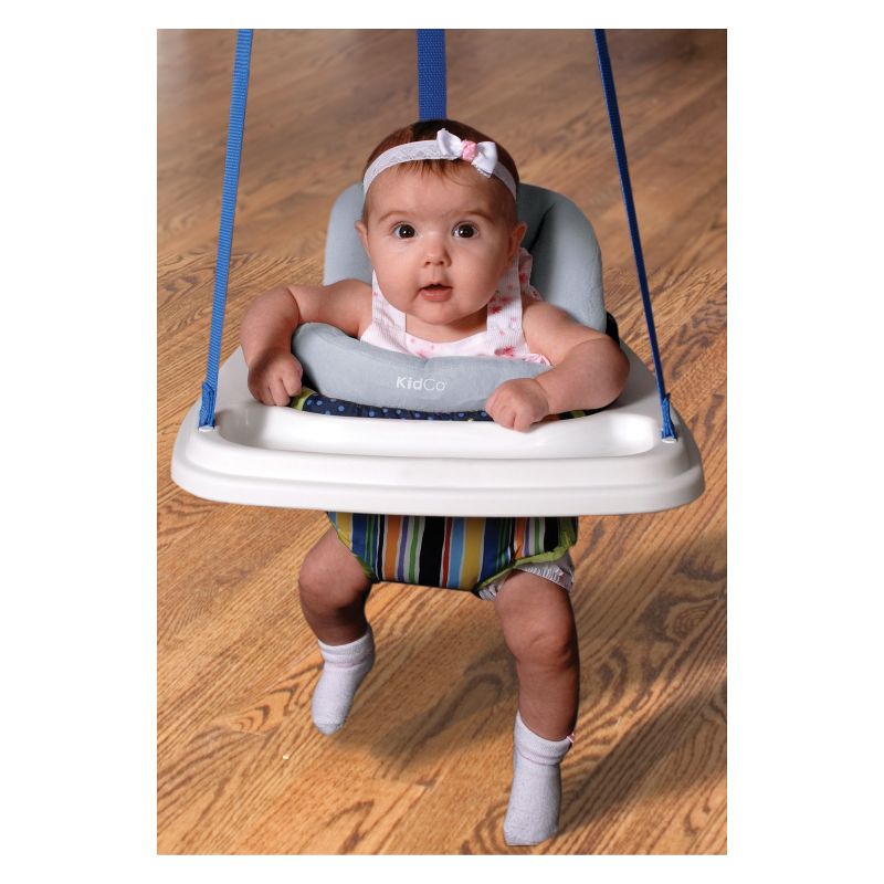 ​Fisher-Price Baby Bouncer