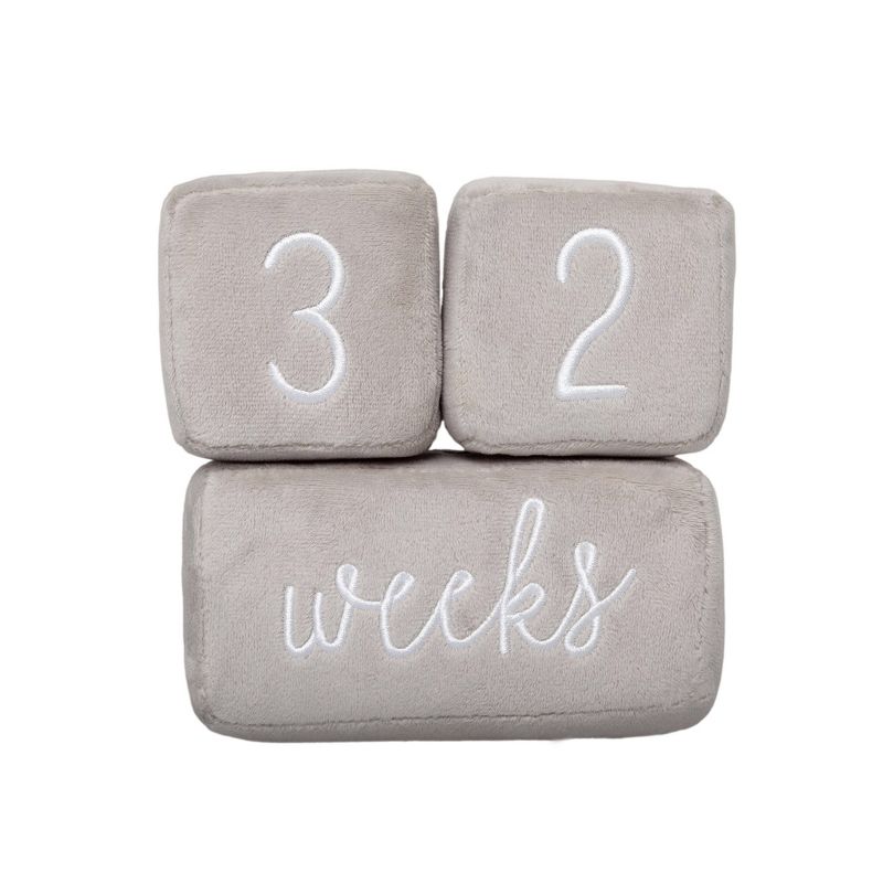 Pearhead Plush Milestone Blocks