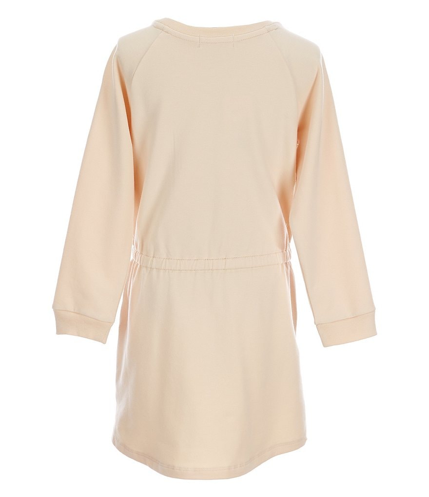 Peek Little/Big Girls 2T-12 Embroidered Chambray A-Line Dress