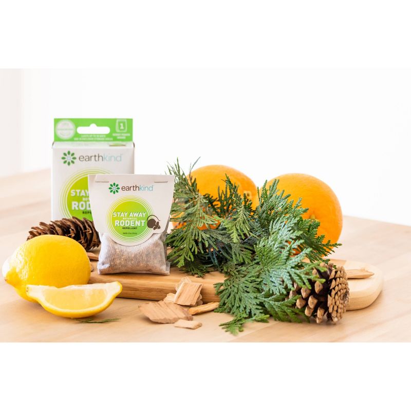 Yard Butler Gopher and Mole Control Steel Poison Bait Applicator Spike, 37 Inch