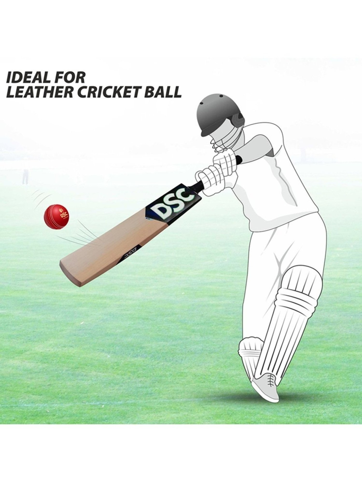 DSC BLAK 300 English Willow Cricket Bat Size - Mens