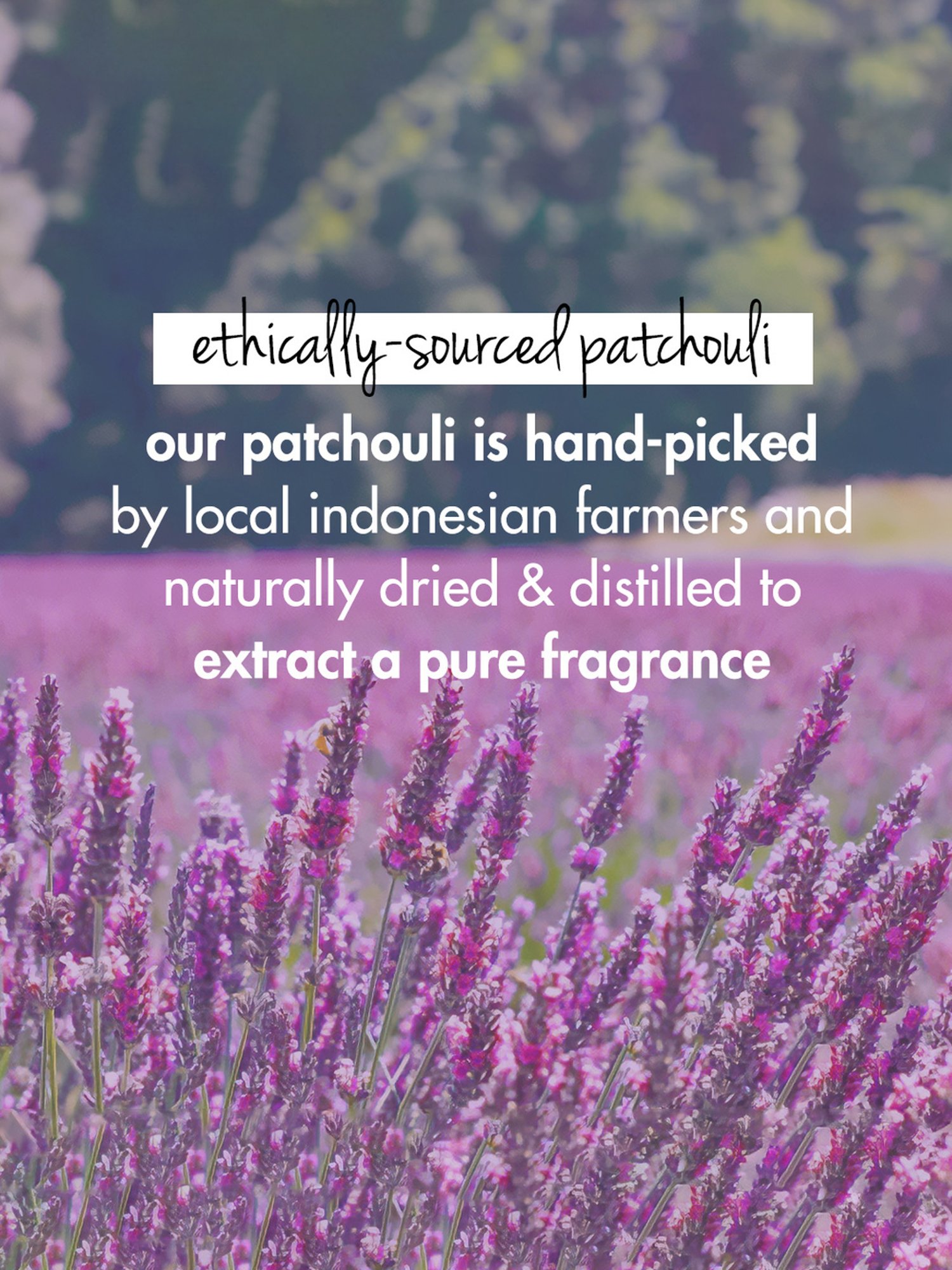 Love Beauty & Planet Onion, Black Seed Oil & Patchouli Hair Oil - 200 ml