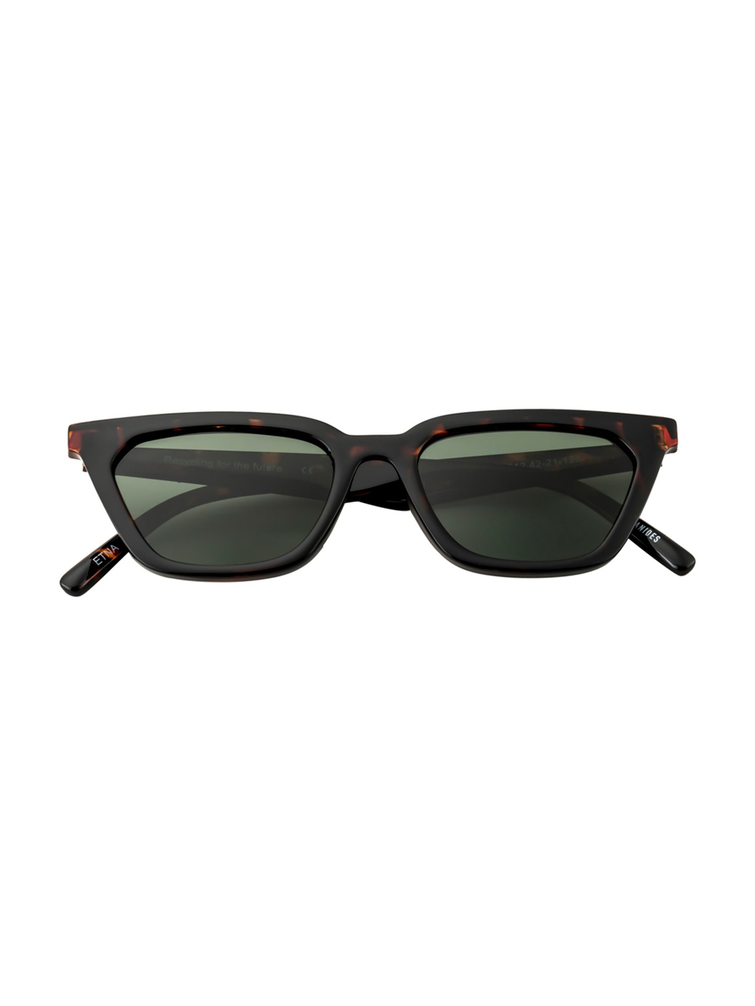 Oceanides Brown Wayfarer Unisex Sunglasses