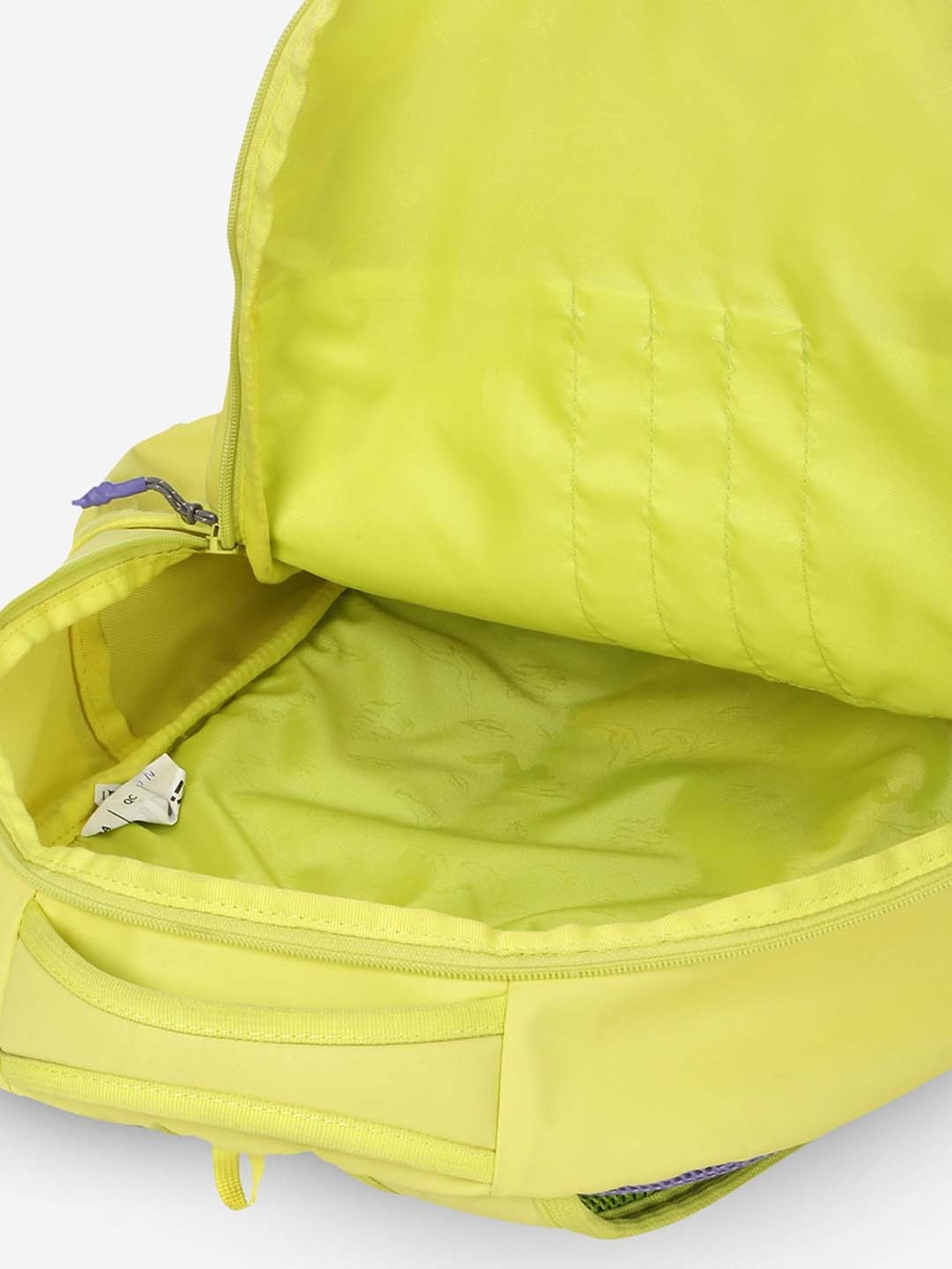 Wiki 27.5 Ltrs Green Medium Backpack