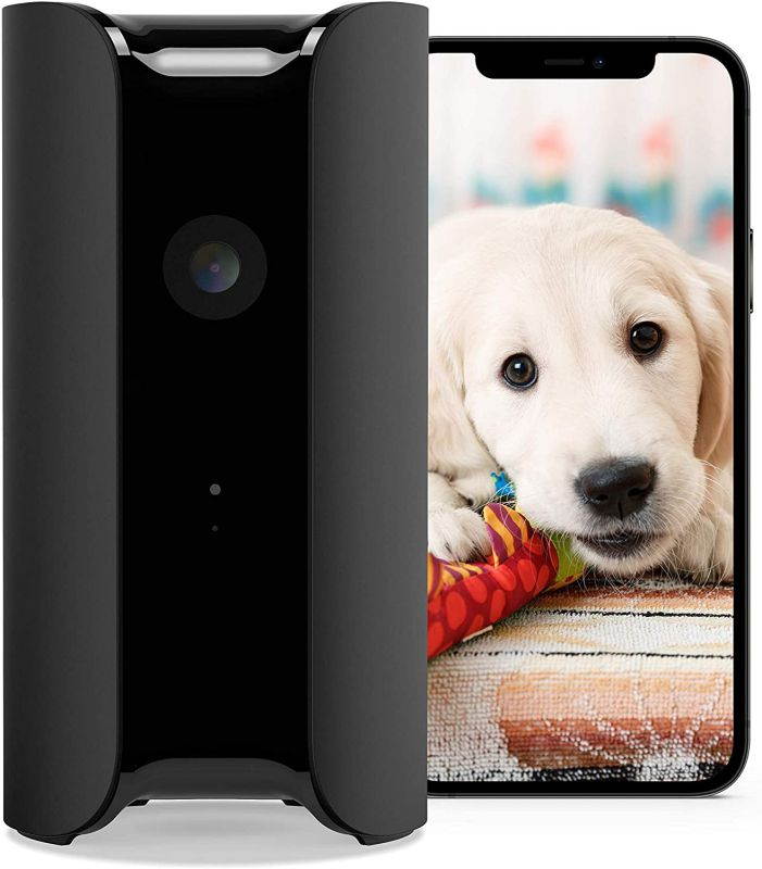 Canary View Indoor Home Security Camera with Premium Service (1 YR FREE Incl.) | 1080p HD, 2-Way Talk, 30-Day Video History, Person Detection, One-tap to Police, Alexa, Google, Baby Monitor, WiFi IP