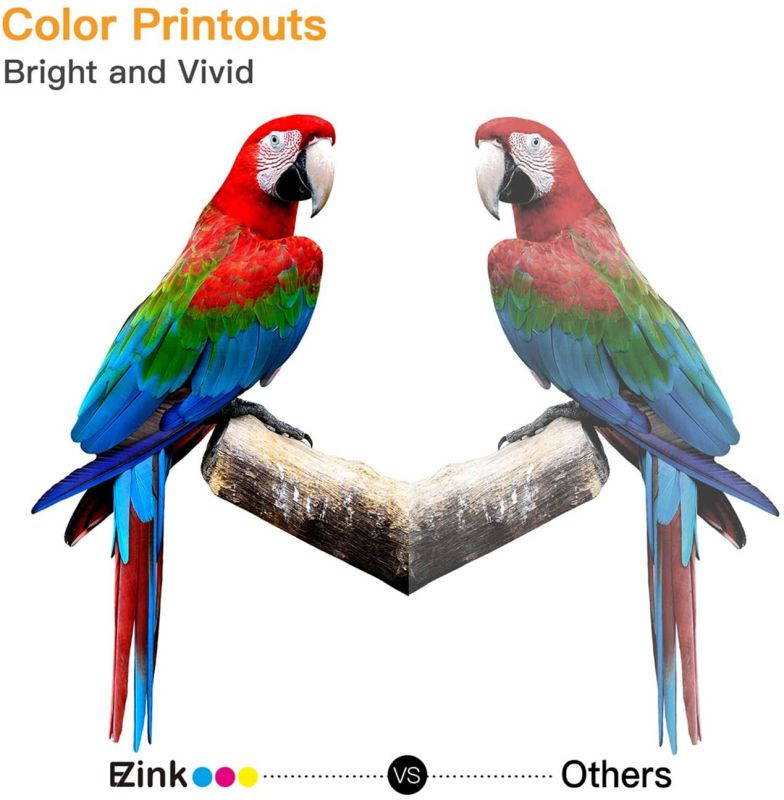 E-Z Ink (TM) Compatible Toner Cartridge Replacement For Dell 1250 810WH C5GC3 XMX5D WM2JC to use with 1250c C1760nw C1765nfw 1350cnw 1355cn 1355cnw printer (1 Black, 1 Cyan, 1 Magenta, 1 Yellow)4 Pack