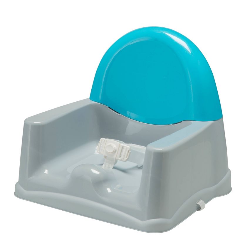 Safety 1st Clean Care Booster Seat