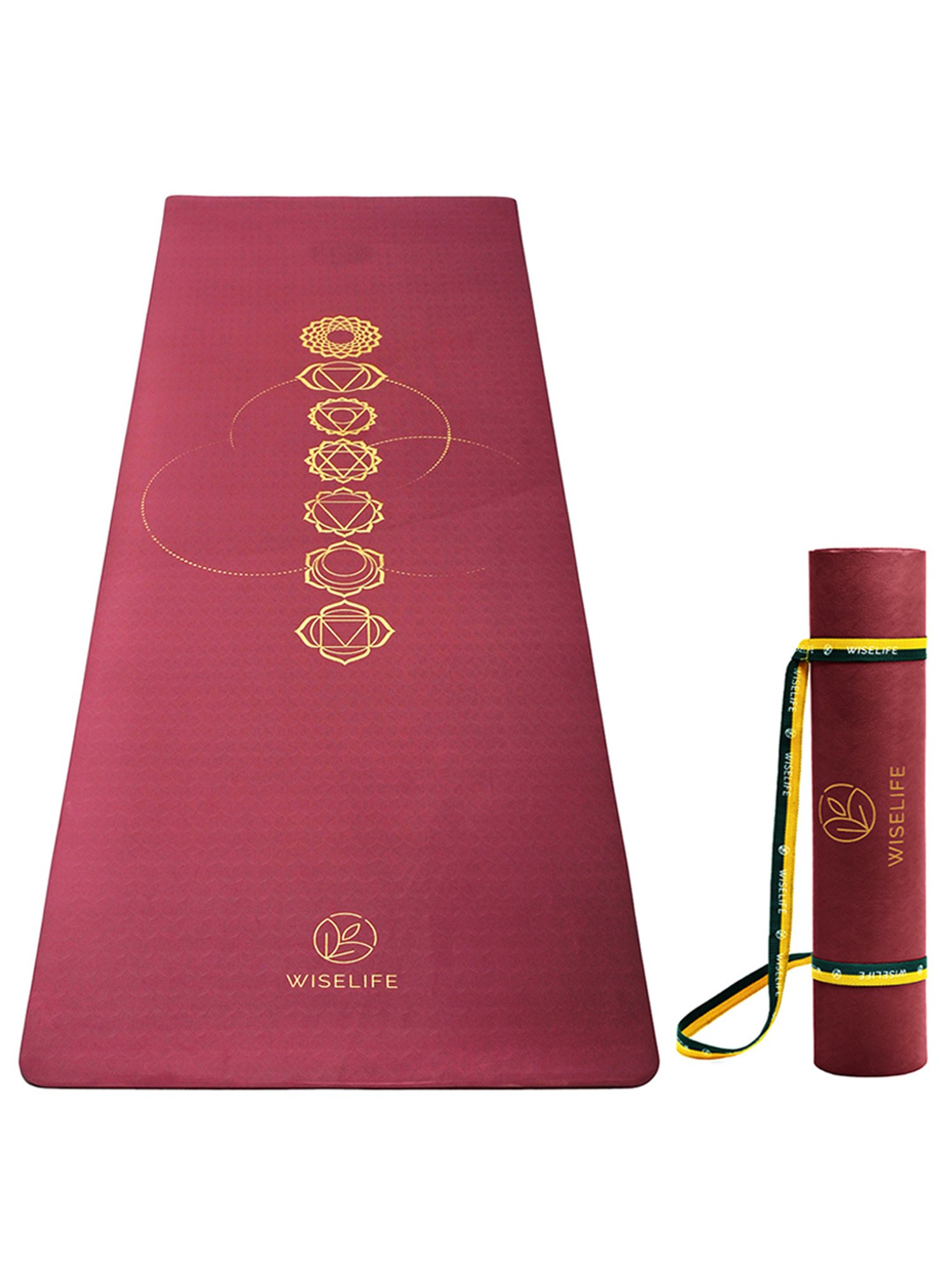 Nodens Multicolored Frizbee Ring (7 inch)