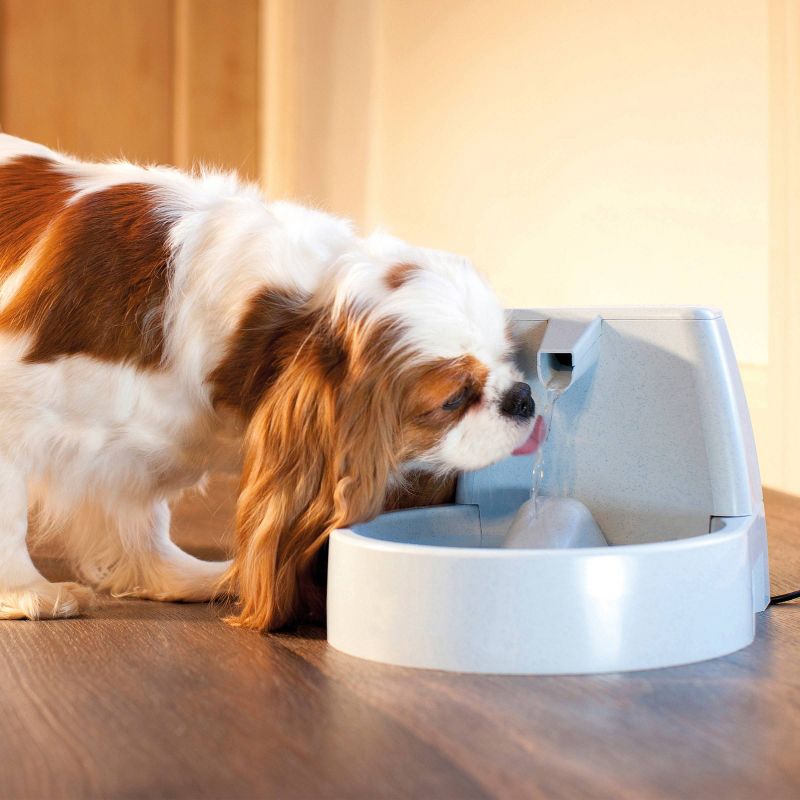 PetSafe Original Fountain