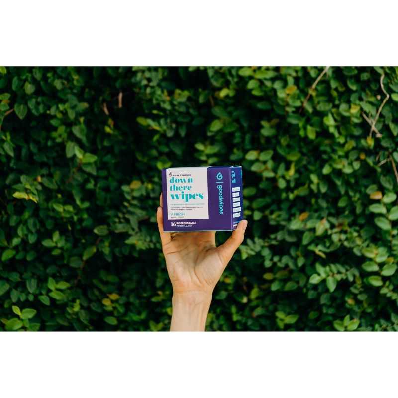 Goodwipes Fresh Down There Wipes - 16ct