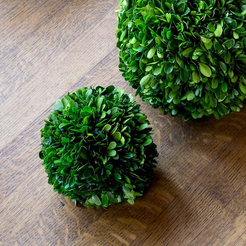 Park Hill Collection Boxwood Ball 6"