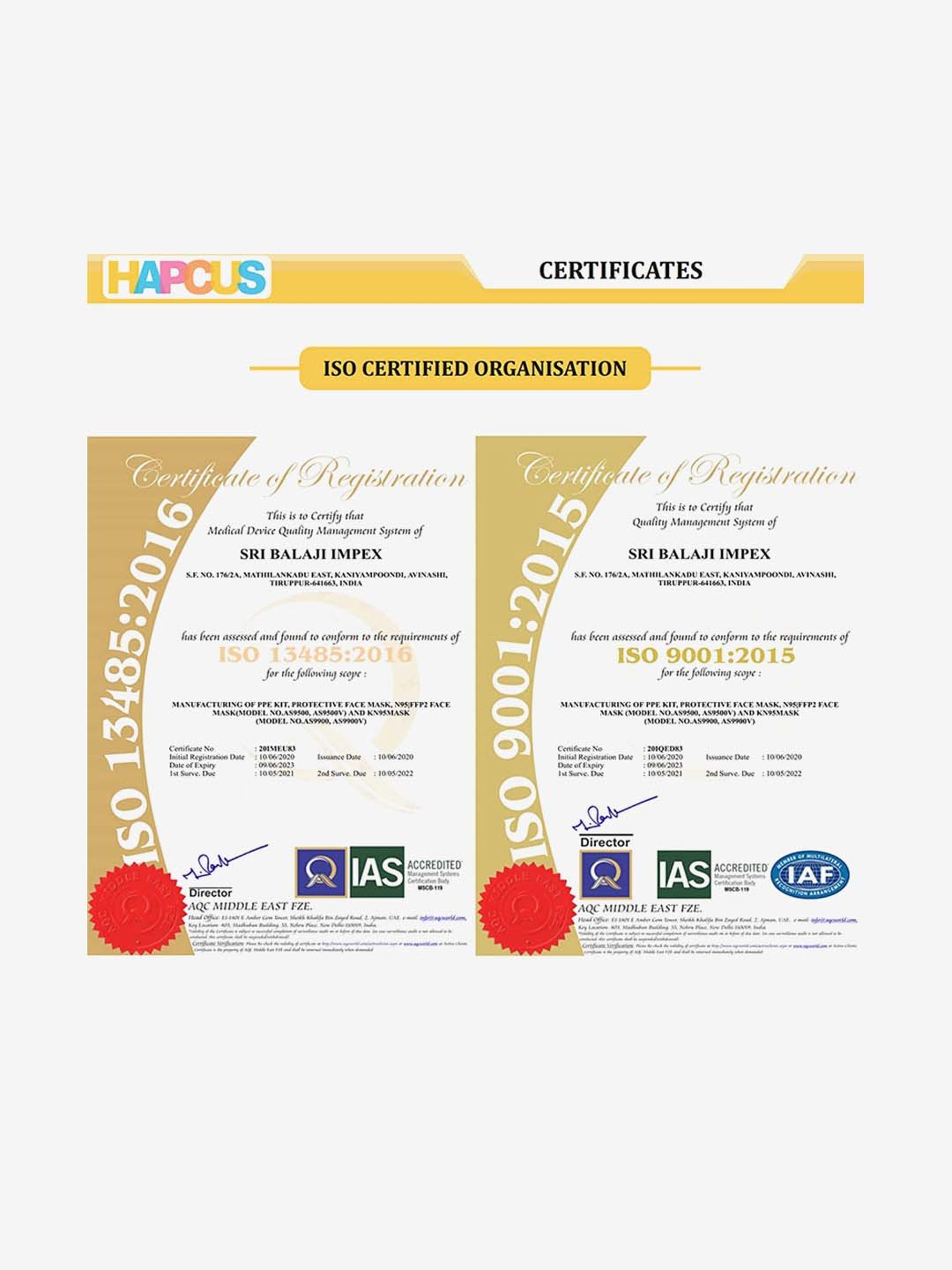 Magnum Flat Fold Duckbill NIOSH Certified N95 Mask (Pack of 20, White)