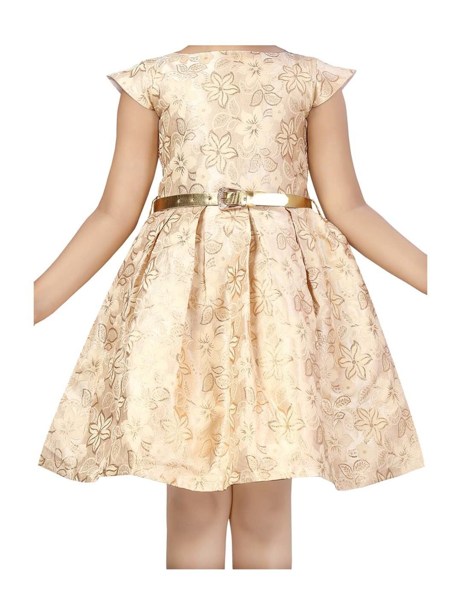 Aarika Kids Beige Printed Dress