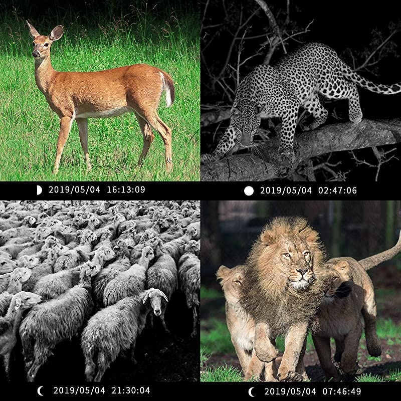 Mini Trail Camera 1080P HD Game Camera Waterproof Wildlife Scouting Hunting Cam with 12MP 120&deg; Wide Angle Lens and Night Vision 20 LCD IR LEDs