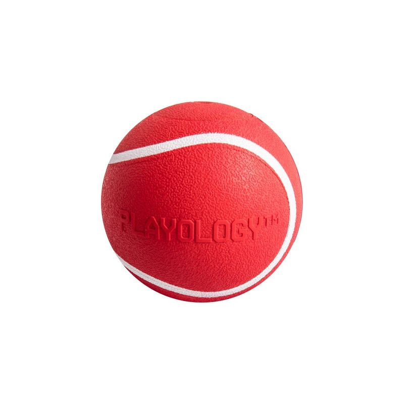 Playology Beef Scent Chew Ball Dog Toy - Red - M