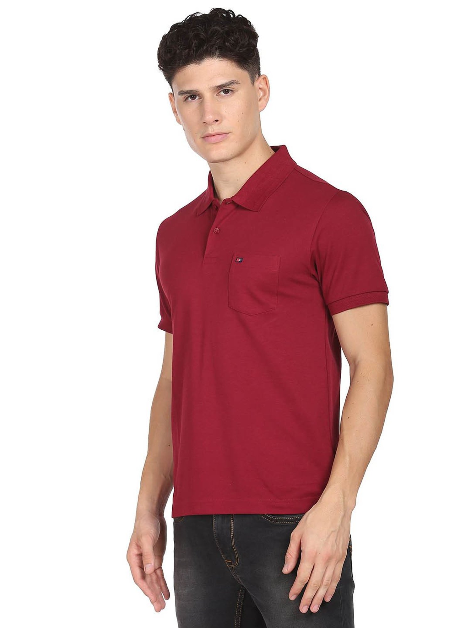 AD by Arvind Wine Slim Fit Polo T-Shirt