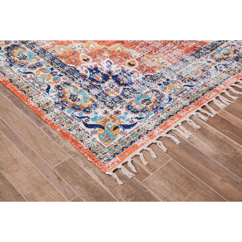 4'x6' Woven Medallion Accent Rug - Anji Mountain