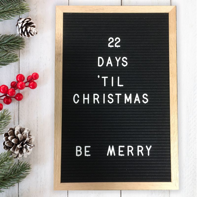 TF Publishing Letter Board 12" x 18"