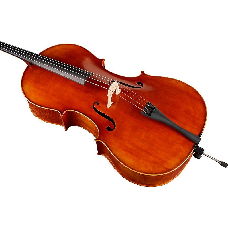 Ren Wei Shi Model 7000 Cello