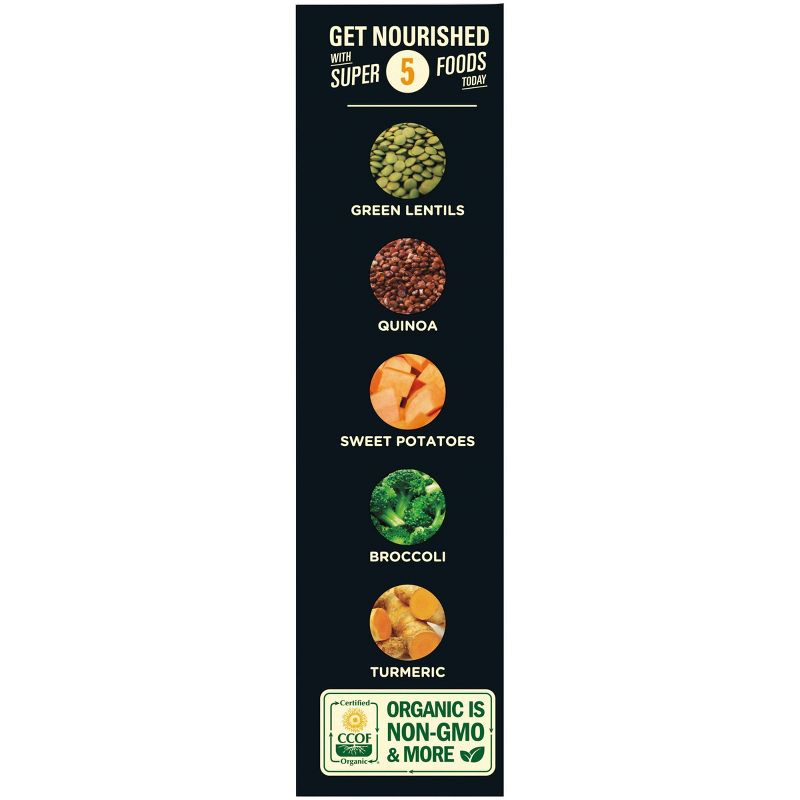 Sweet Earth Natural Foods Frozen Curry Tiger - 9oz