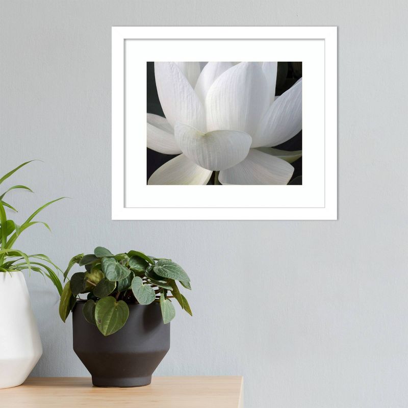 14" x 12" Delicate Lotus V by Jim Christensen Framed Wall Art Print - Amanti Art
