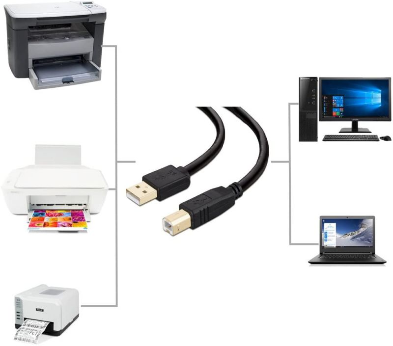 Printer Cable 3 feet NC XQIN USB Printer Cable Cord Type A-Male to B-Male Printer USB Cable for Printer/Scanner-Gold-Plated