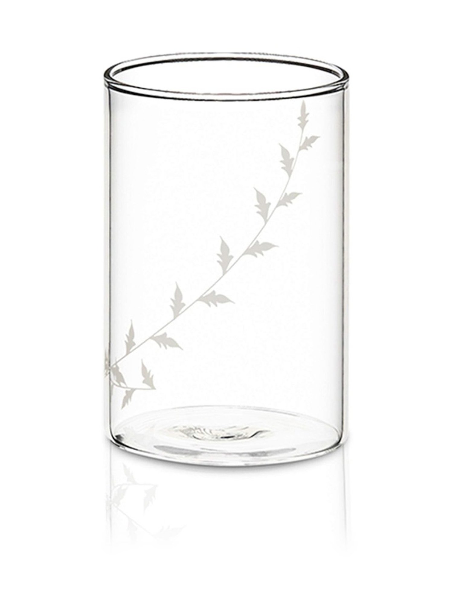 Borosil Transparent Glass Everyday Glasses - Set of 6 (295ml)