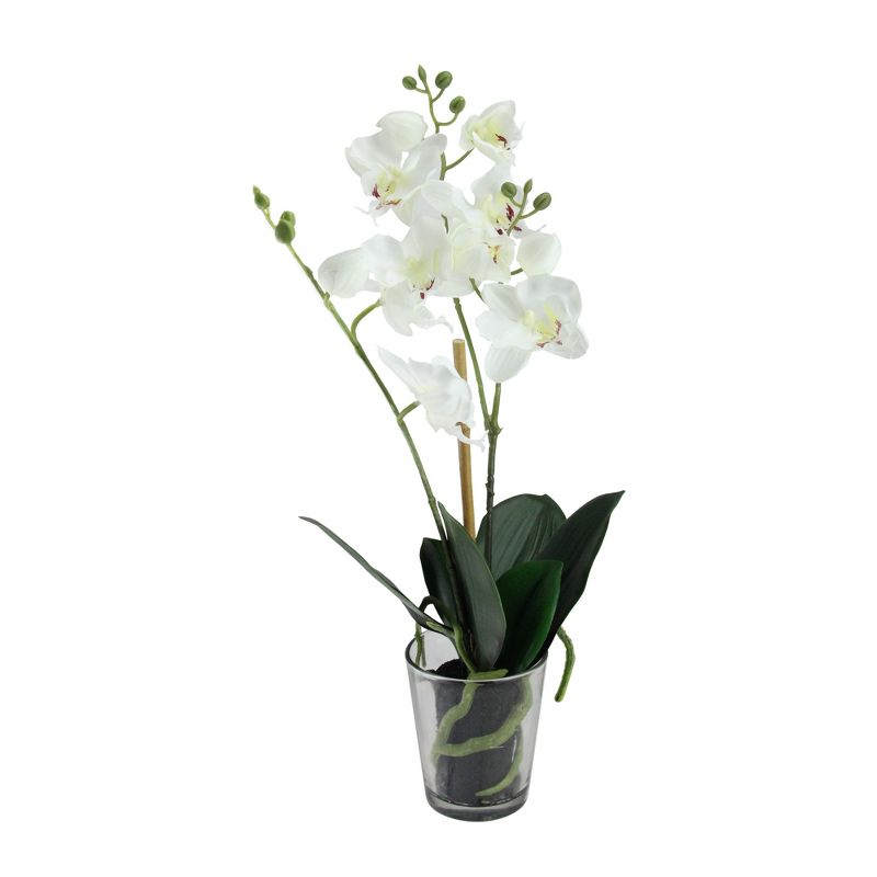 Northlight 18.5" Phalaenopsis Orchid Silk Flower Artificial Potted Arrangement - Green/White