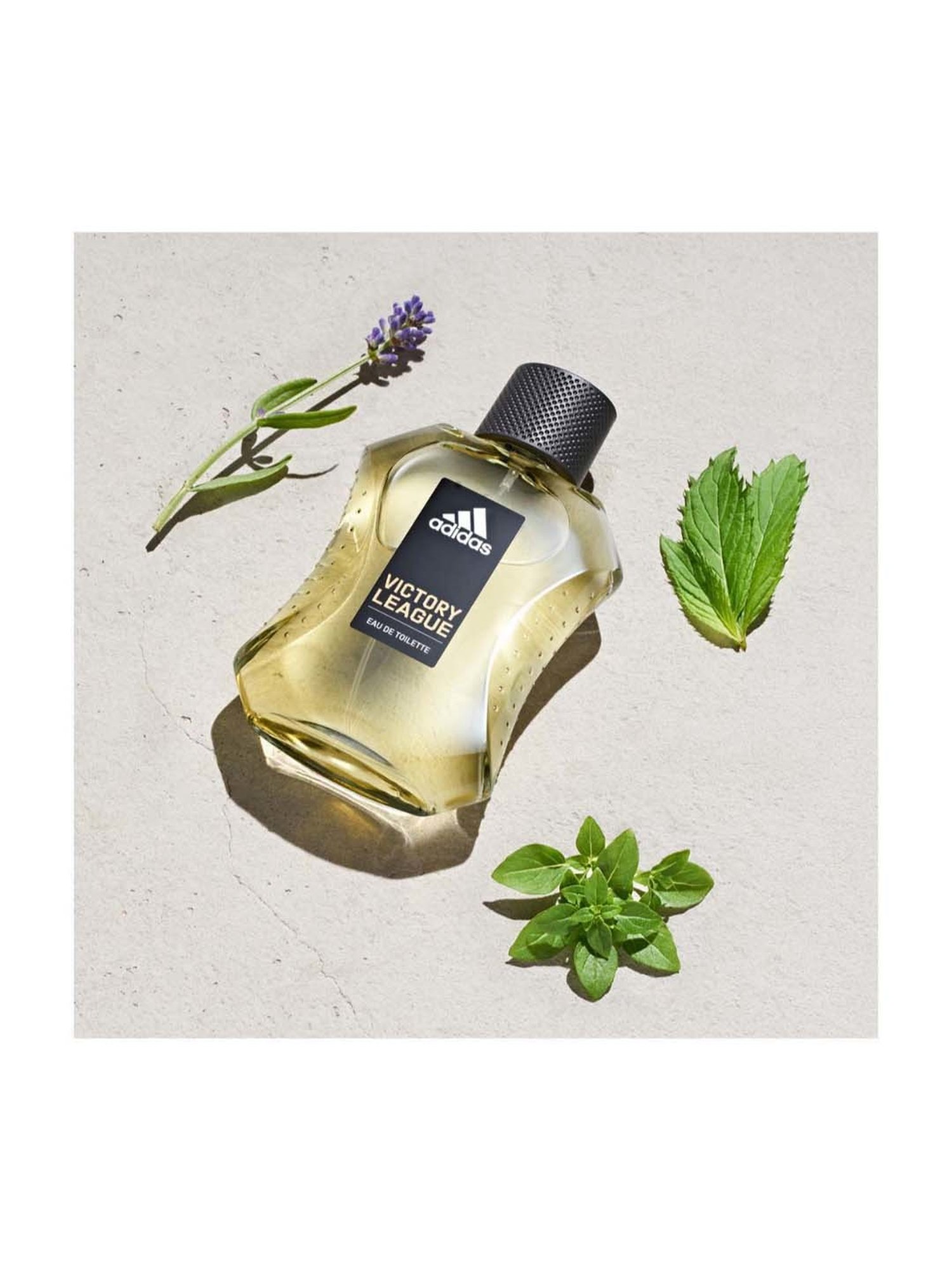 Jean Paul Gaultier Divine Eau de Parfum for Women - 100 ml