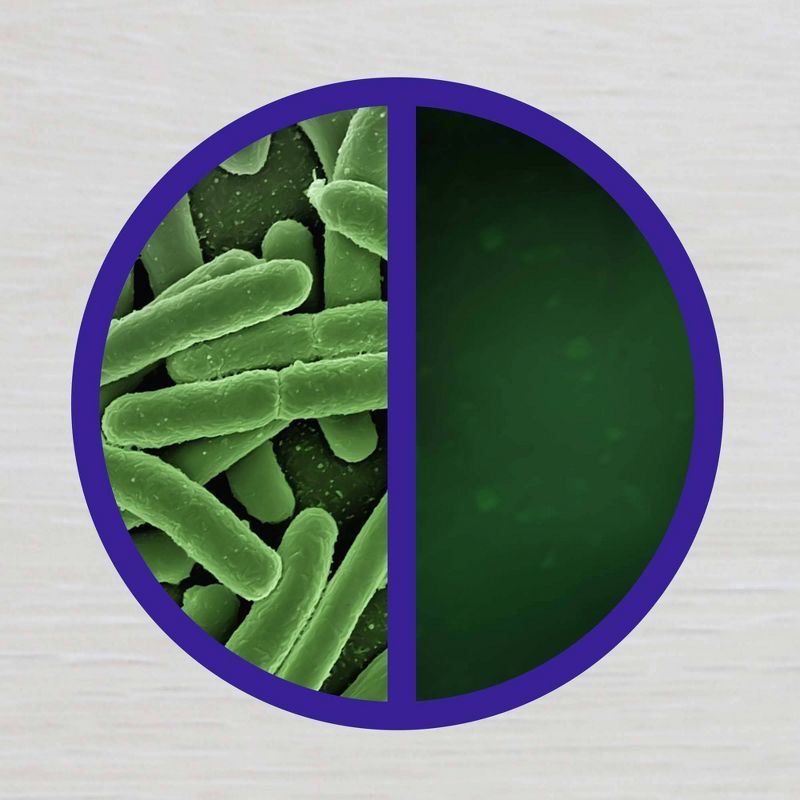 CLR Mold & Mildew Remover - 32 fl oz