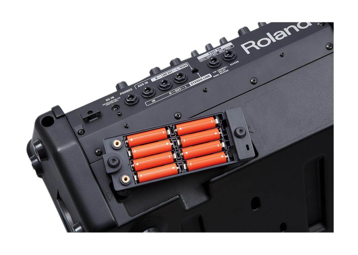 Roland CUBE Street EX 2-Channel 50-Watt Battery Powered Amp