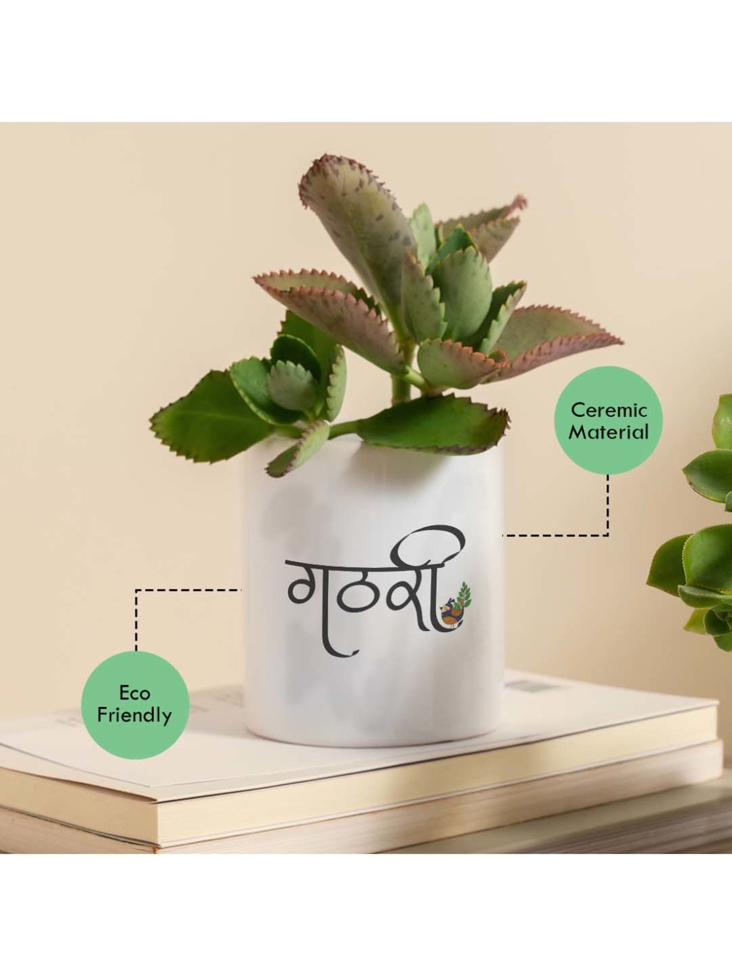 Gathari White & Green Ceramic Desk Planter