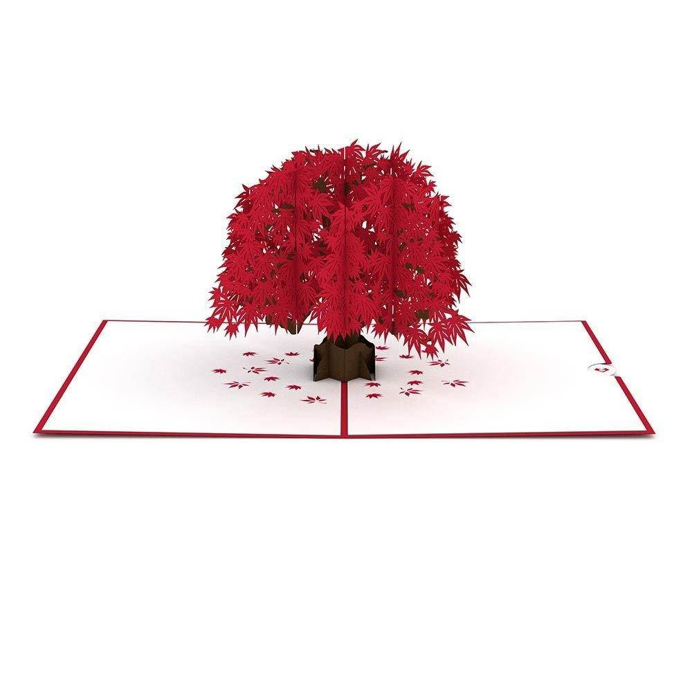 Lovepop Japanese Maple Pop Up Card, 3D Card, Tree Card, Nature Card, Foliage Card, Fall Card