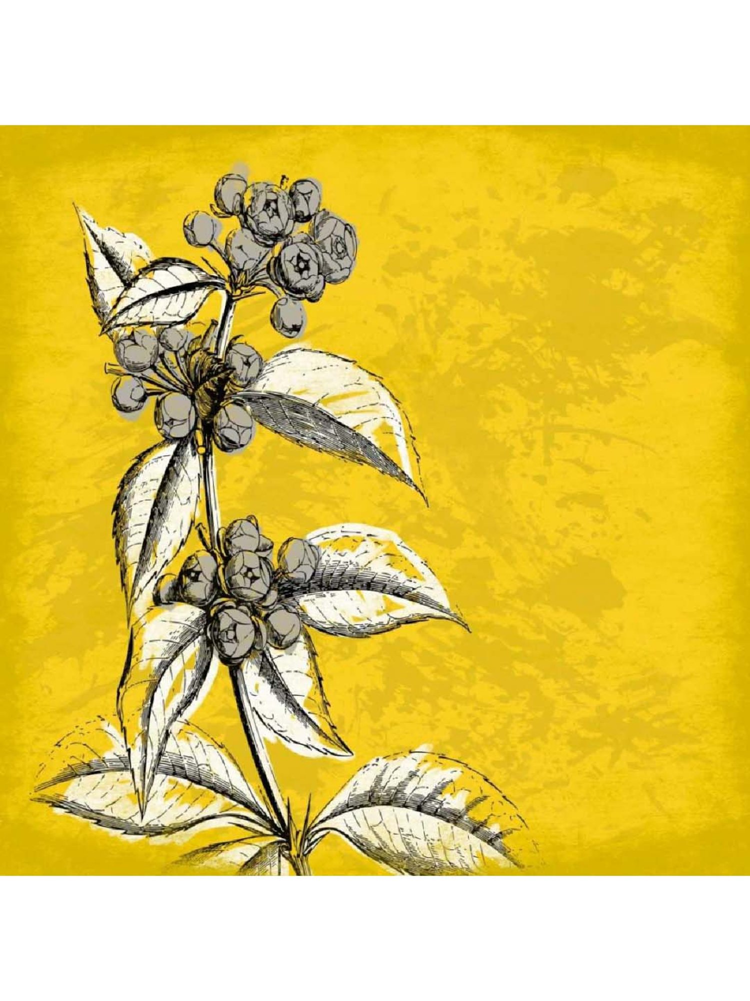 ARTE'VENUE Flowers Multicolor Canvas Wall Arts - Set of 4 (10 X 10 inch Each)