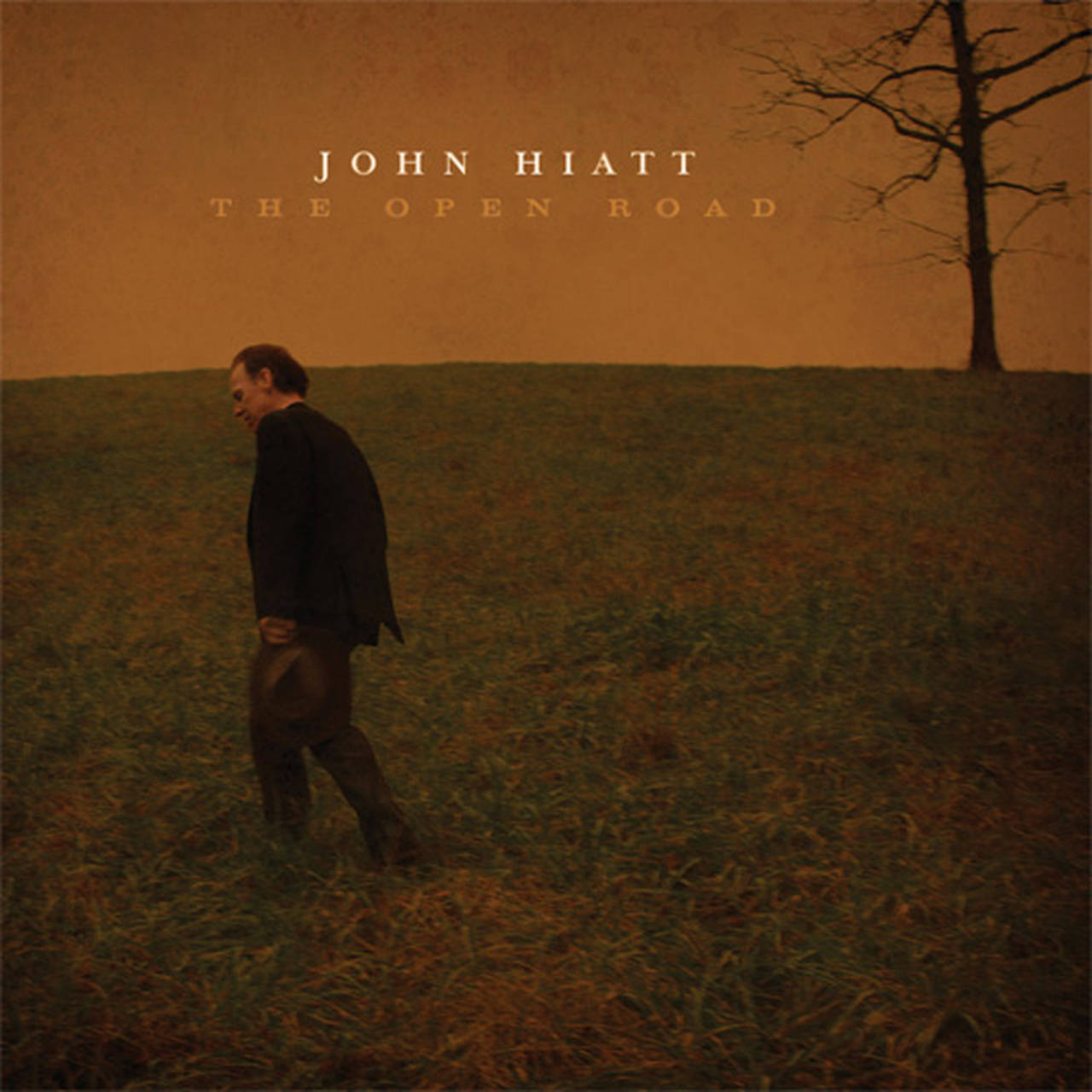 John Hiatt/The Open Road 180g 2LP (Vinyl)