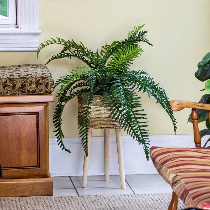 38" x 34" Artificial River Fern Plant in Basket Stand - LCG Florals