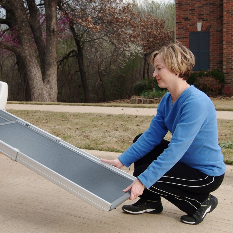 PetSafe Happy Ride Telescoping Dog Ramp - Gray