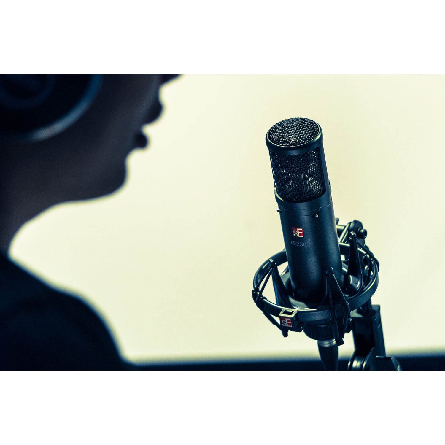 sE Electronics sE2300 microphone with shock mount,pop filter and thread adapter Black