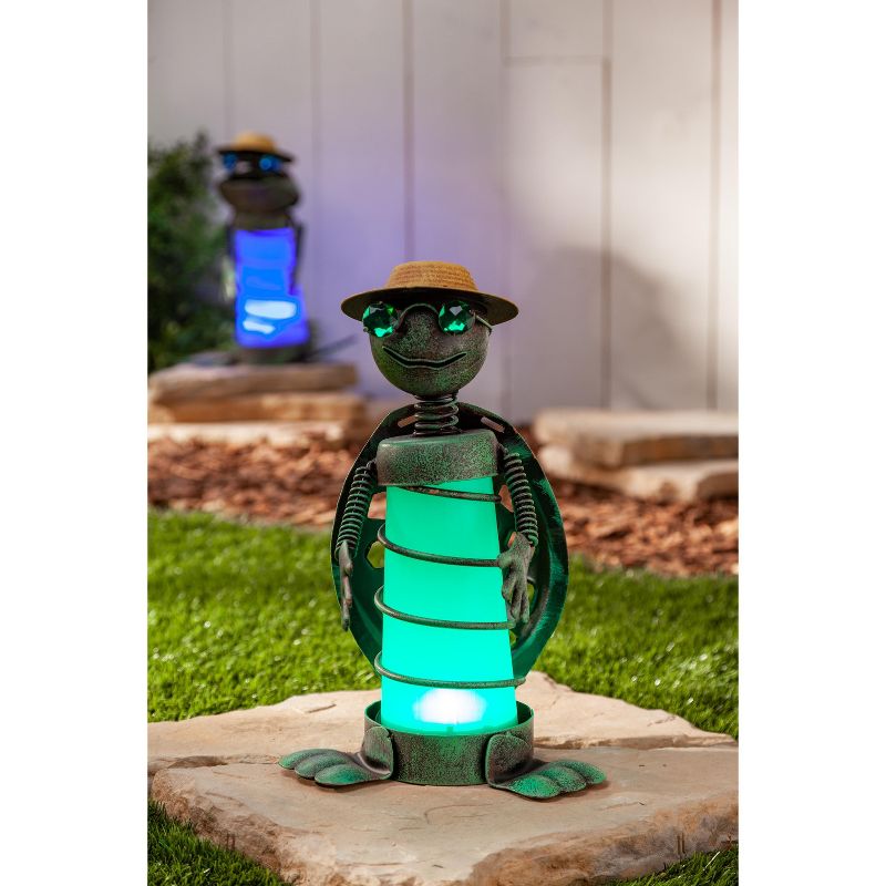 Garden Meadow 14" Solar Lighted Garden Meadow Frog & Turtle