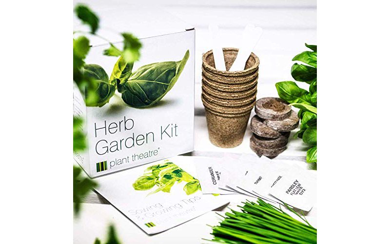 Plant Theatre Herb Garden Kit - Plant Seed Kit - 6 Different Herbs to Grow - Everything You Need to Start Growing in one Box!