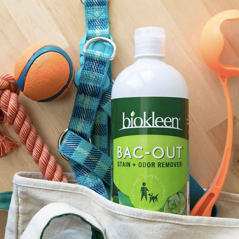 Biokleen Bac Out Stain & Odor Eliminator - 32 fl oz