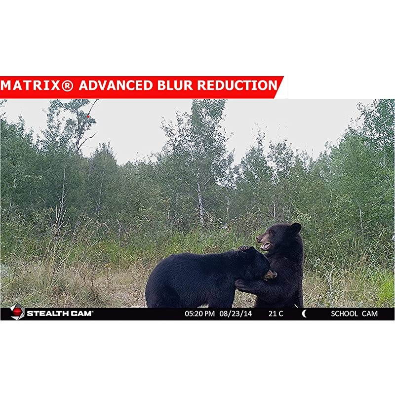 Security Camera WiFi IP Home CameraR2C 1080P HD Baby Monitor Wireless Pet Camera with AI Human Sound Detection Free Cloud Included 2Way AudioWorks with Alexa PanTilt Night Vision