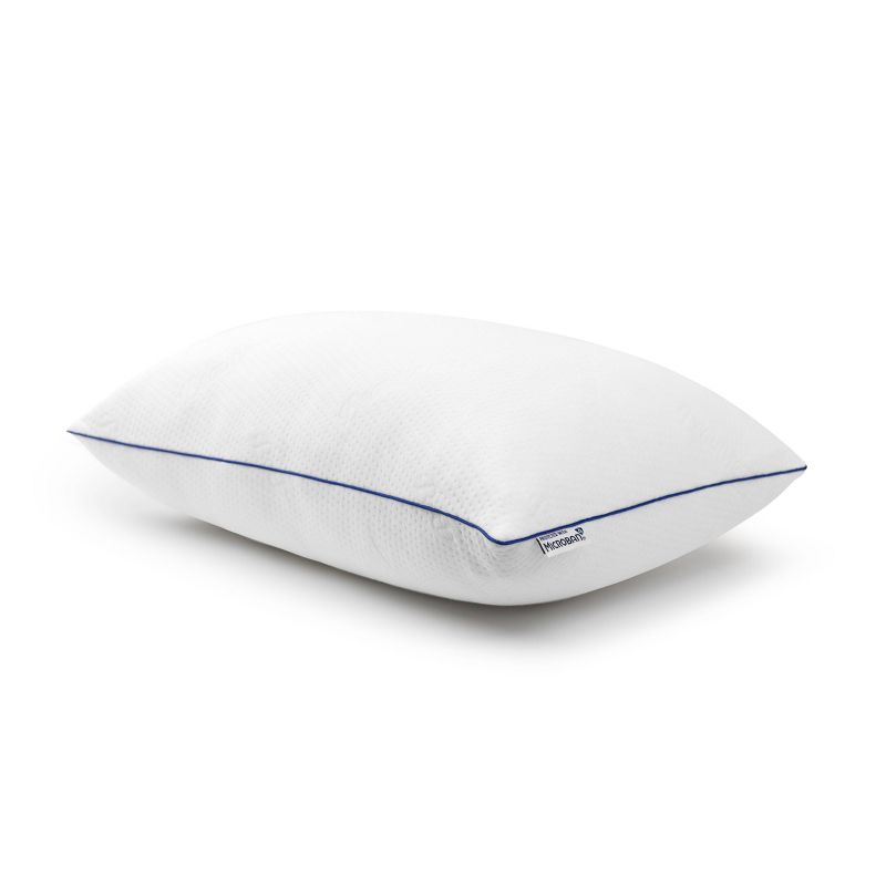Standard/Queen 2pk Fresh Sleep Bed Pillow - Beautyrest