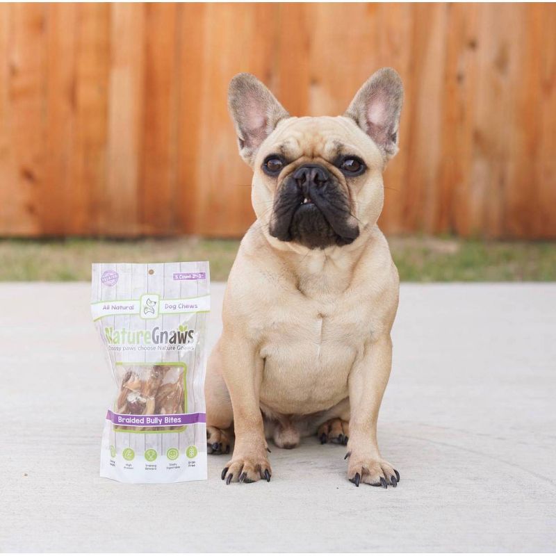 Nature Gnaws Braided Bully Bites 3-4" Jerky Beef Dog Treats- 15ct