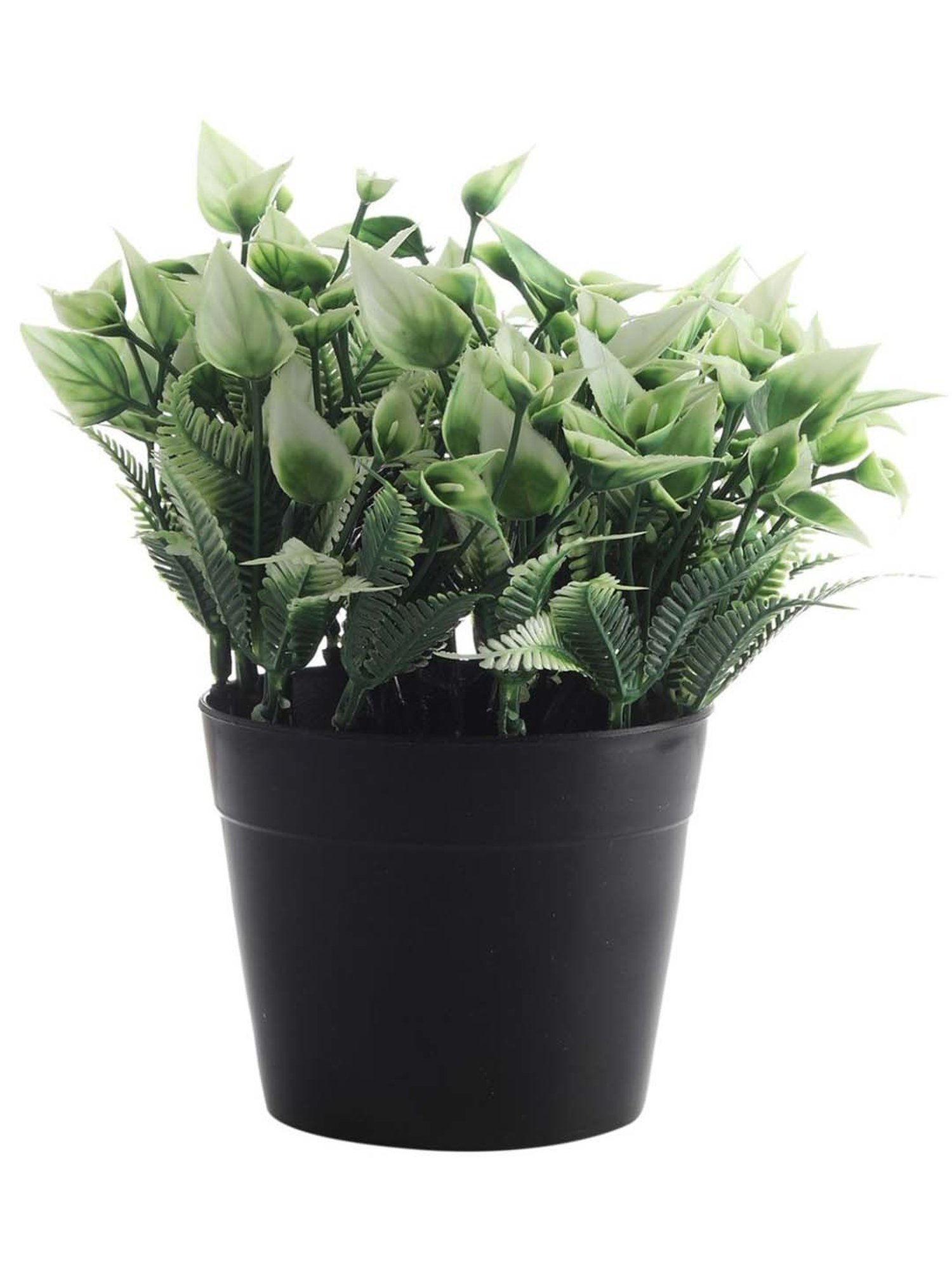 Foliyaj Multicolor Plastic Artificial Plant - Set of 2