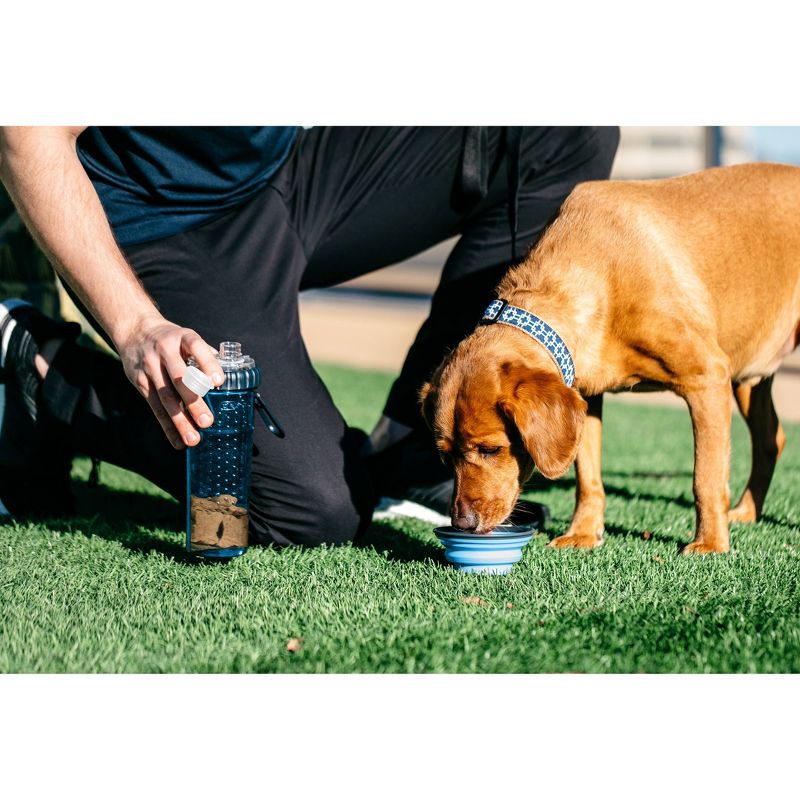 Dexas SnackDuo with Travel Cup - Blue